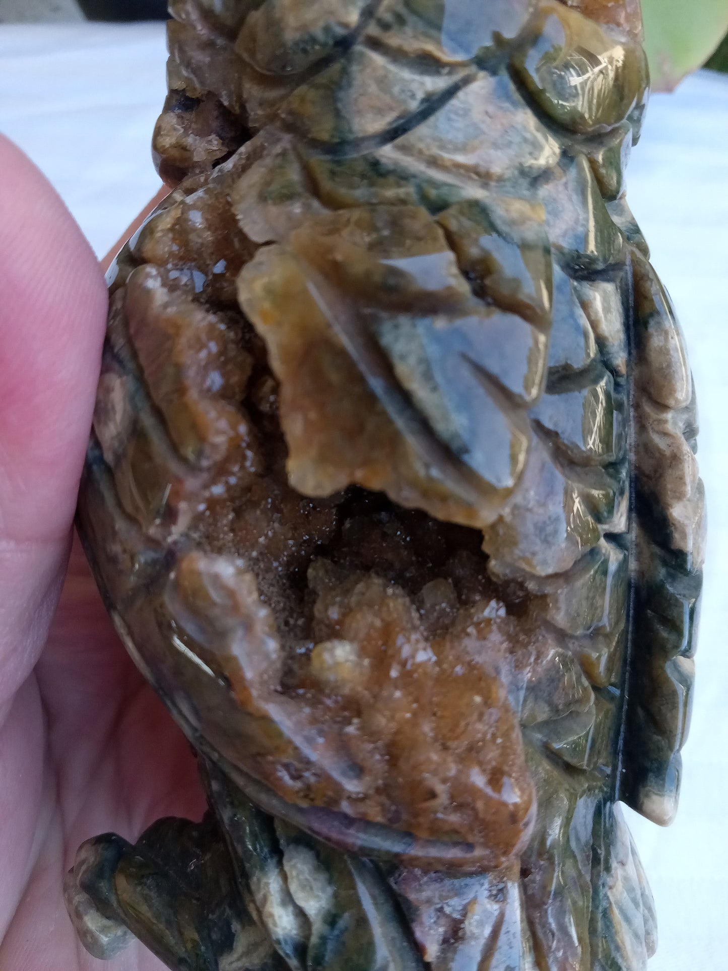 Ocean Jasper Owl