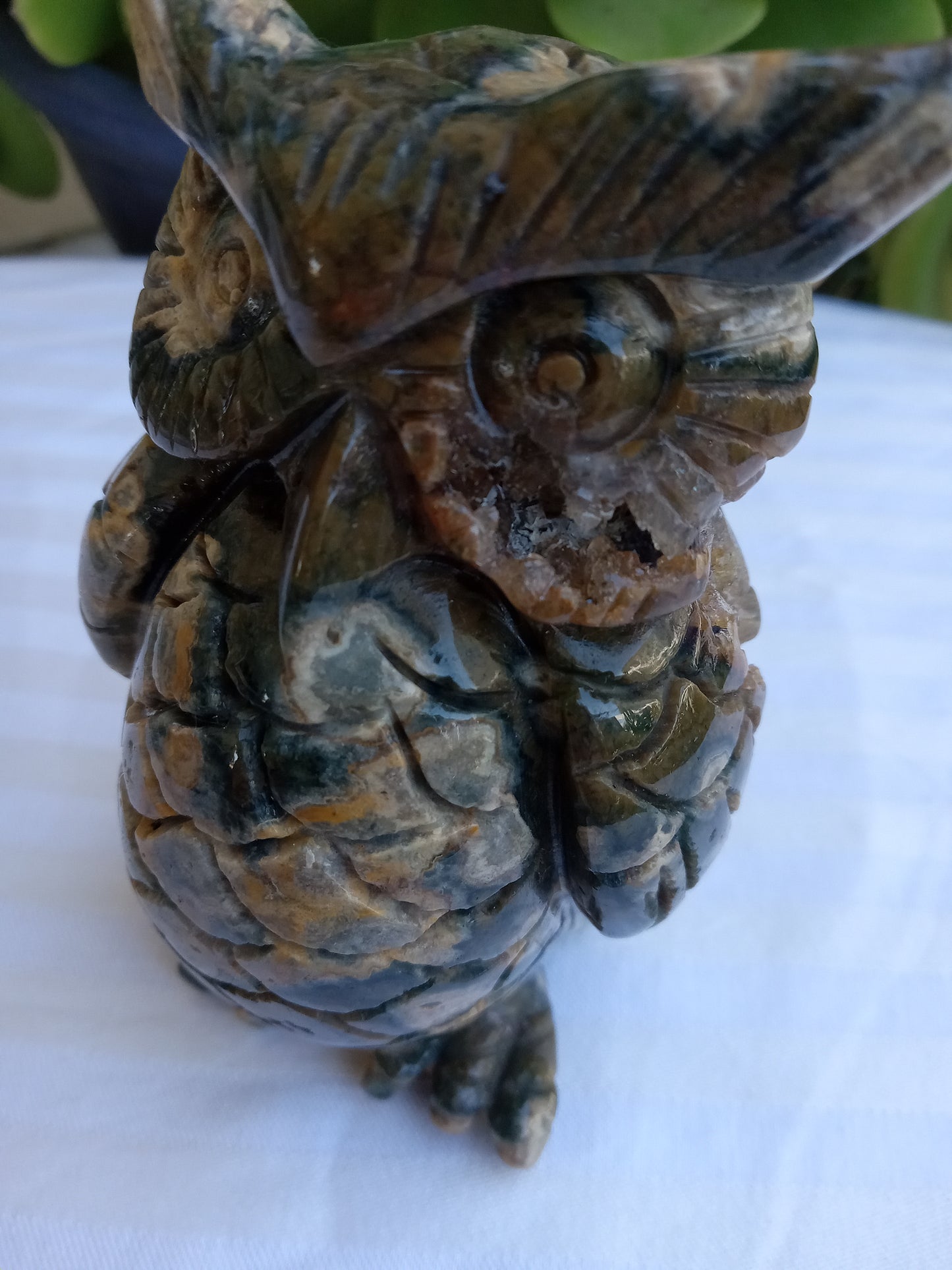 Ocean Jasper Owl