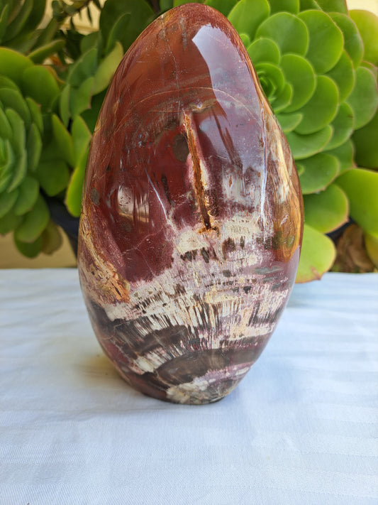 Petrified Wood Free Form