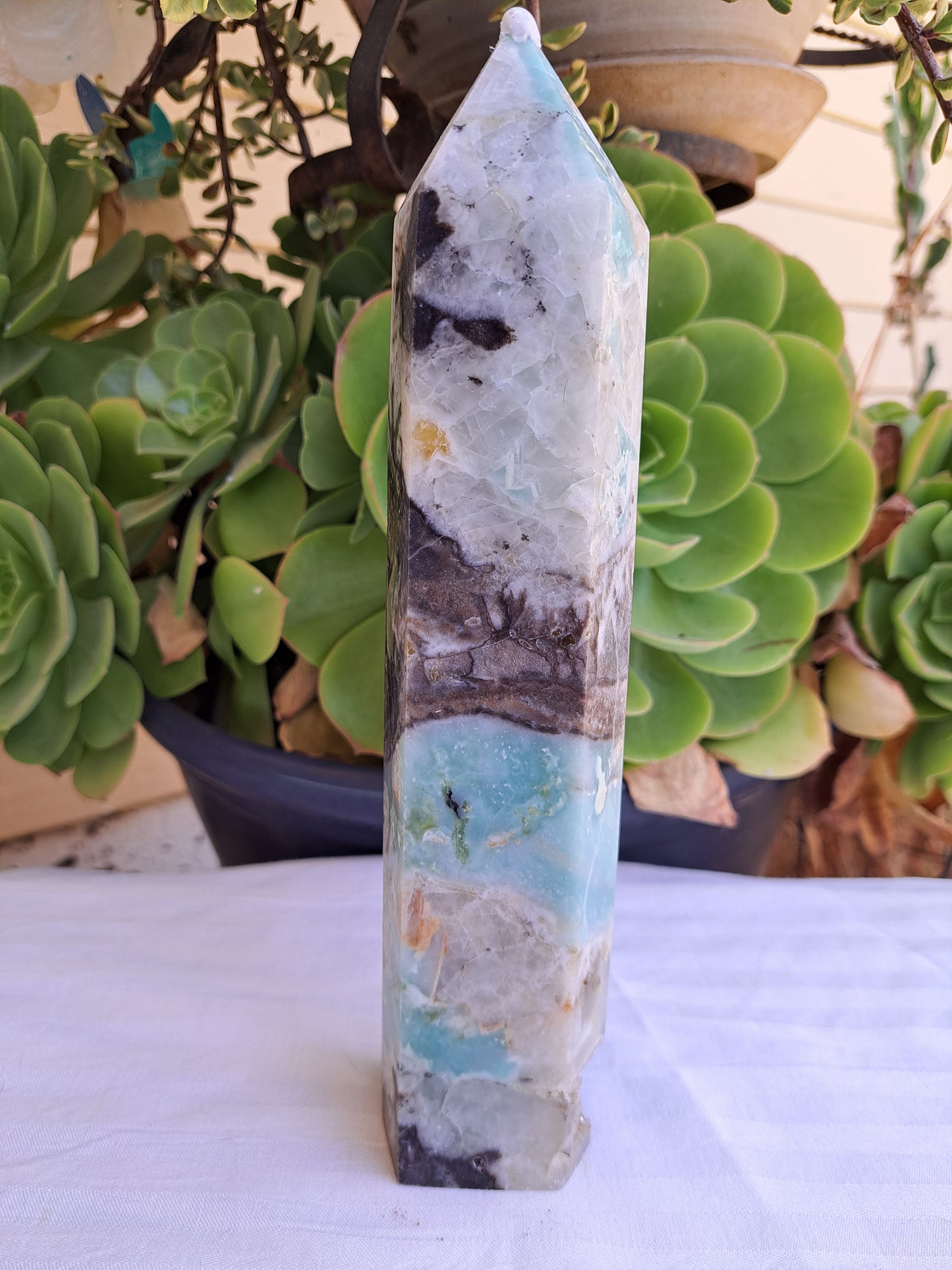 Caribbean Calcite Tower