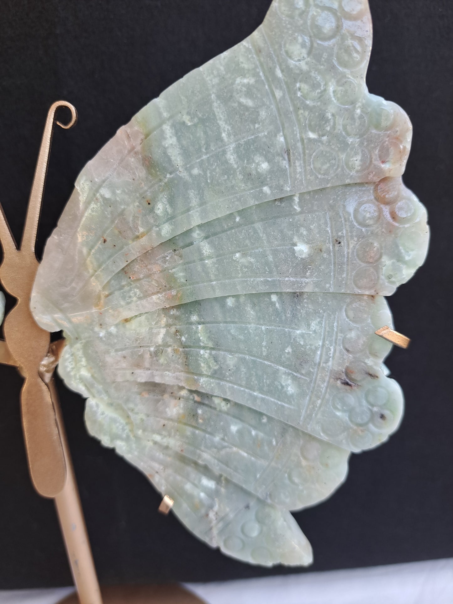 Caribbean Calcite Wings