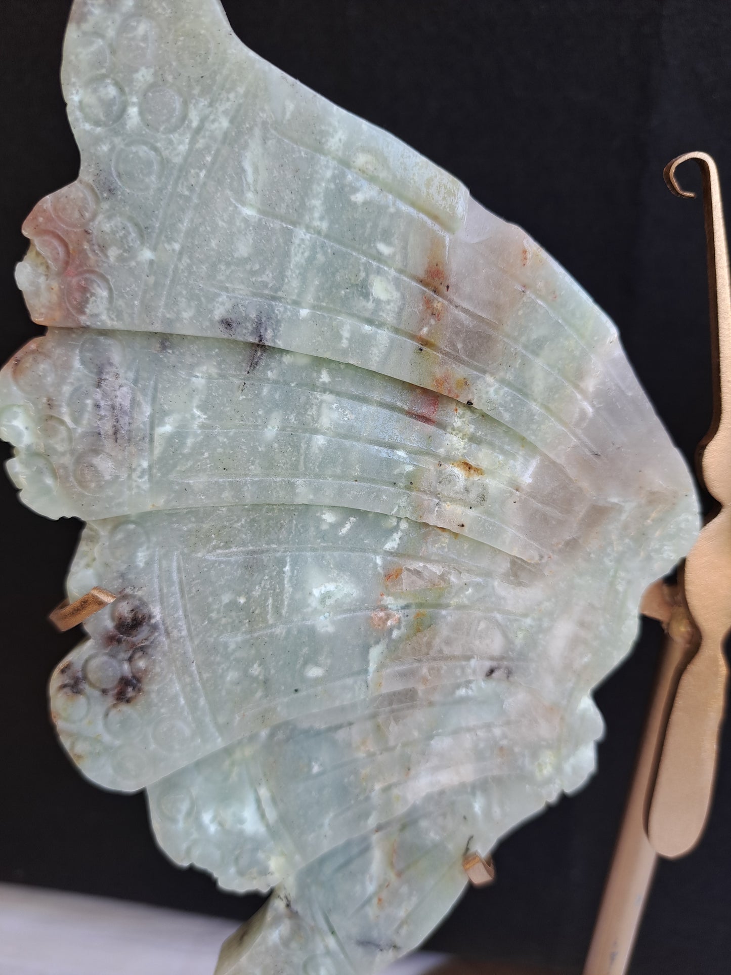 Caribbean Calcite Wings