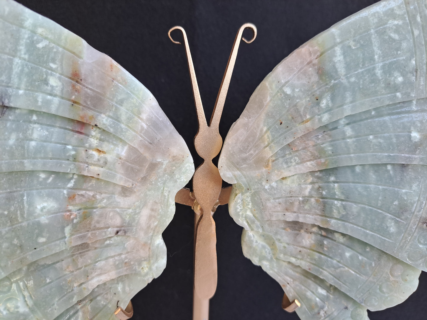 Caribbean Calcite Wings