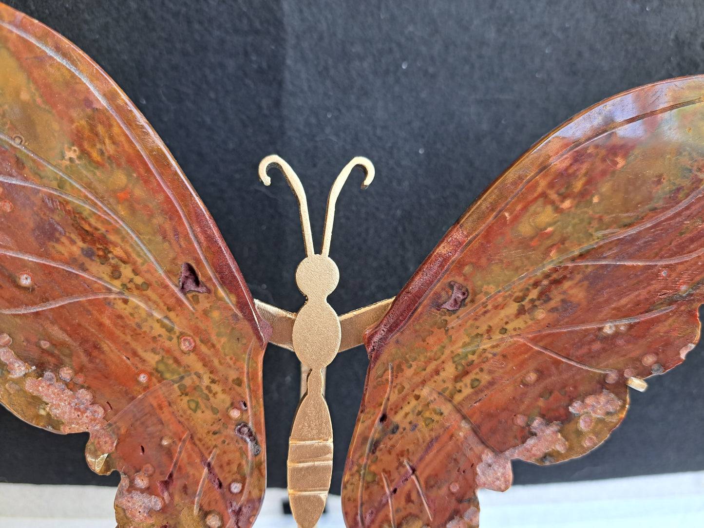 Ocean Jasper Wings