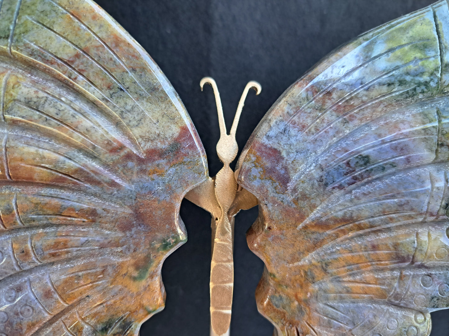 Ocean Jasper Wings