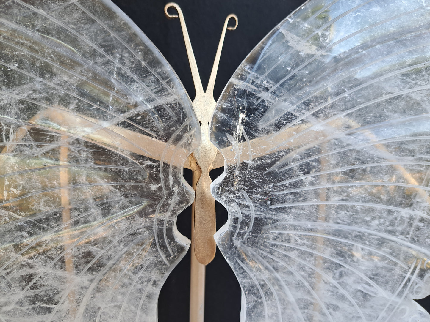 Clear Quartz Wings