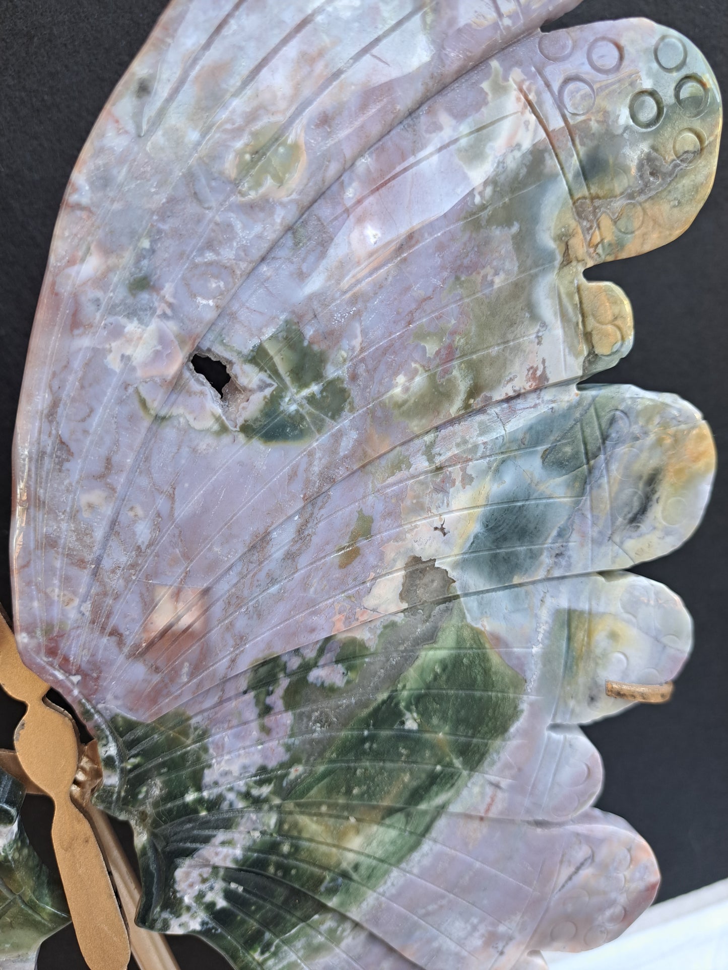 Ocean Jasper Wings