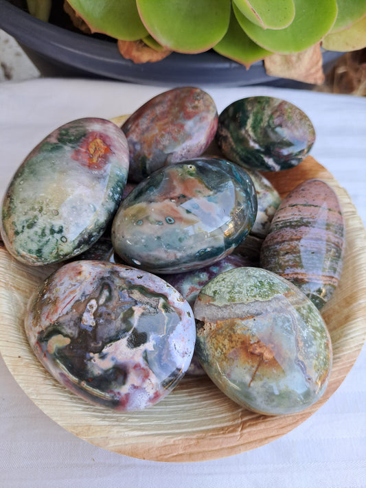 Ocean Jasper Palms