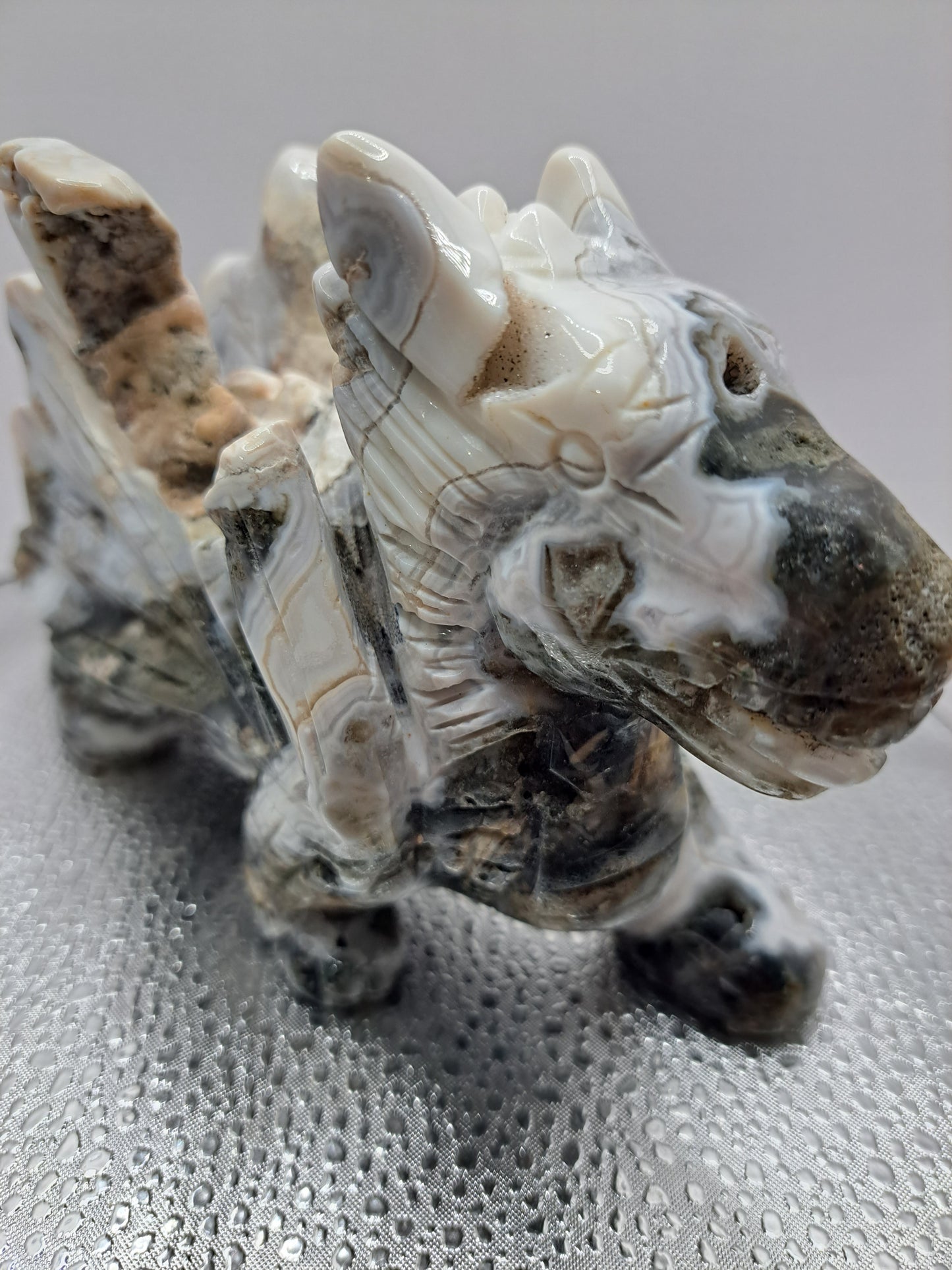 Ocean Jasper Flying Dragon