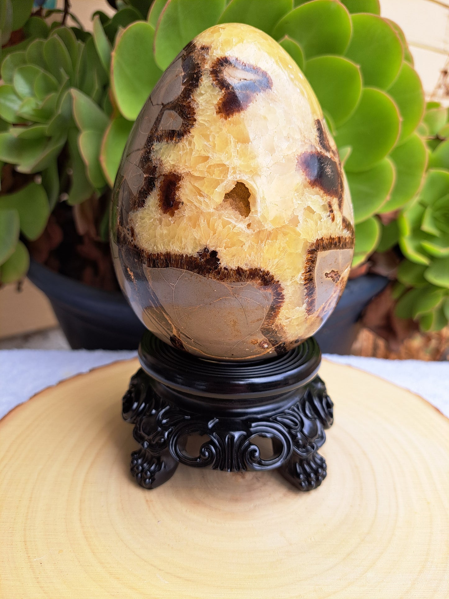 Septarian Egg With Stand