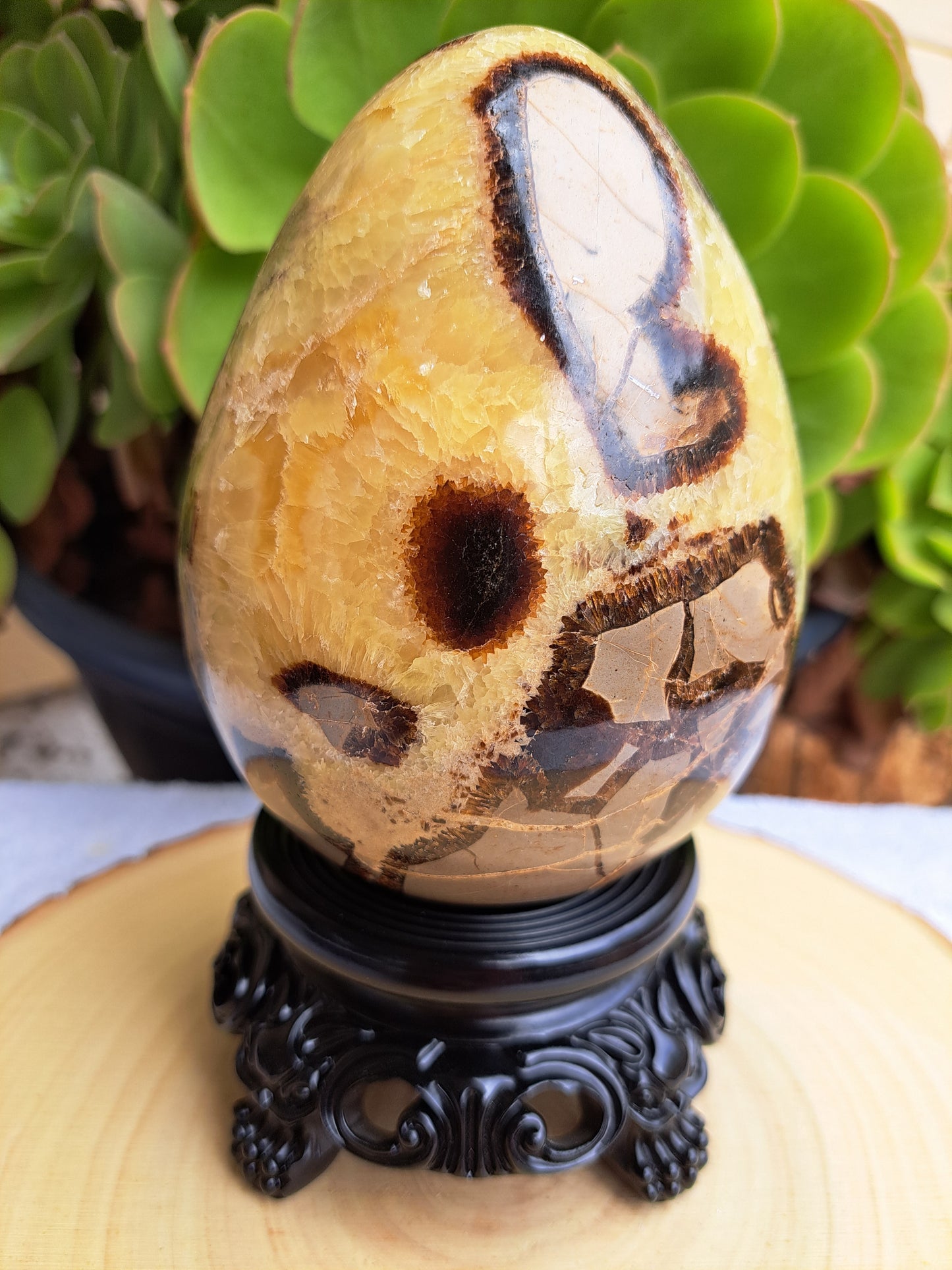 Septarian Egg With Stand