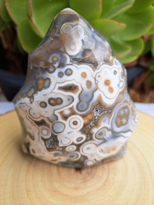 Orbicular Jasper Flame