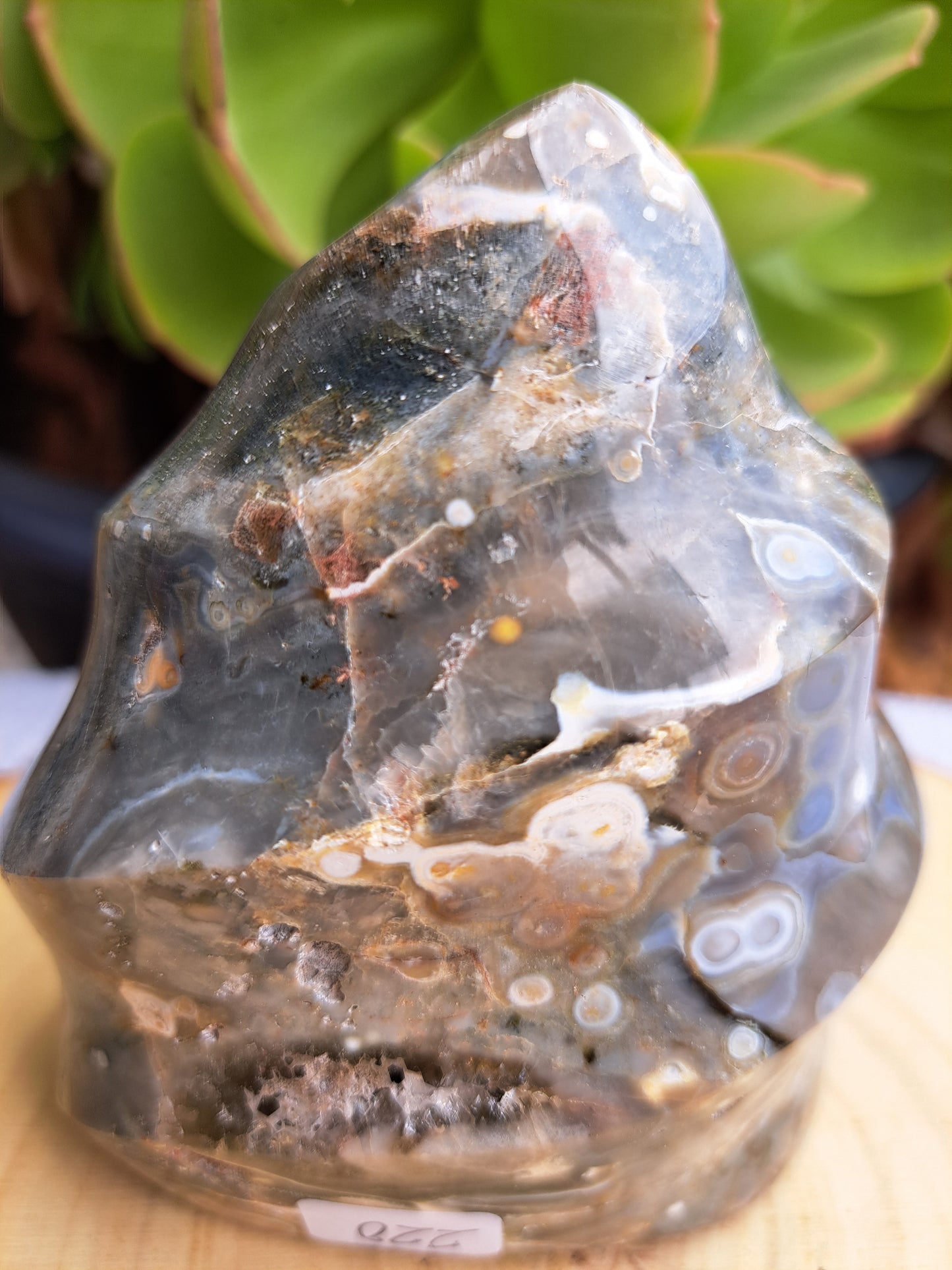 Orbicular Jasper Flame