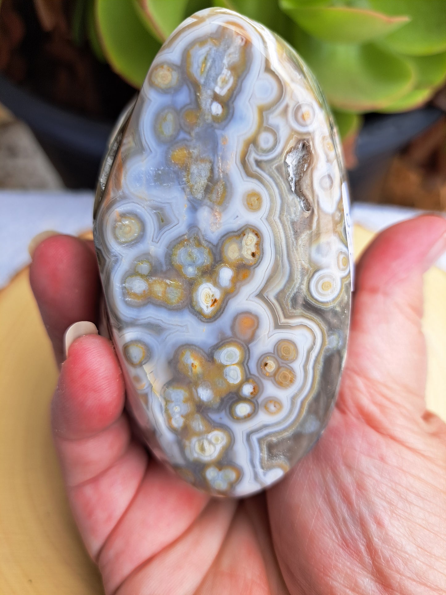 Orbicular Jasper Flame