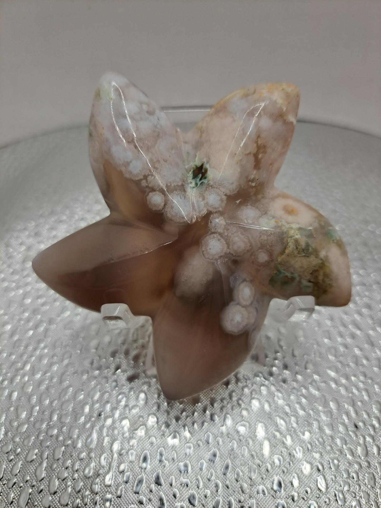 Flower Agate Starfish