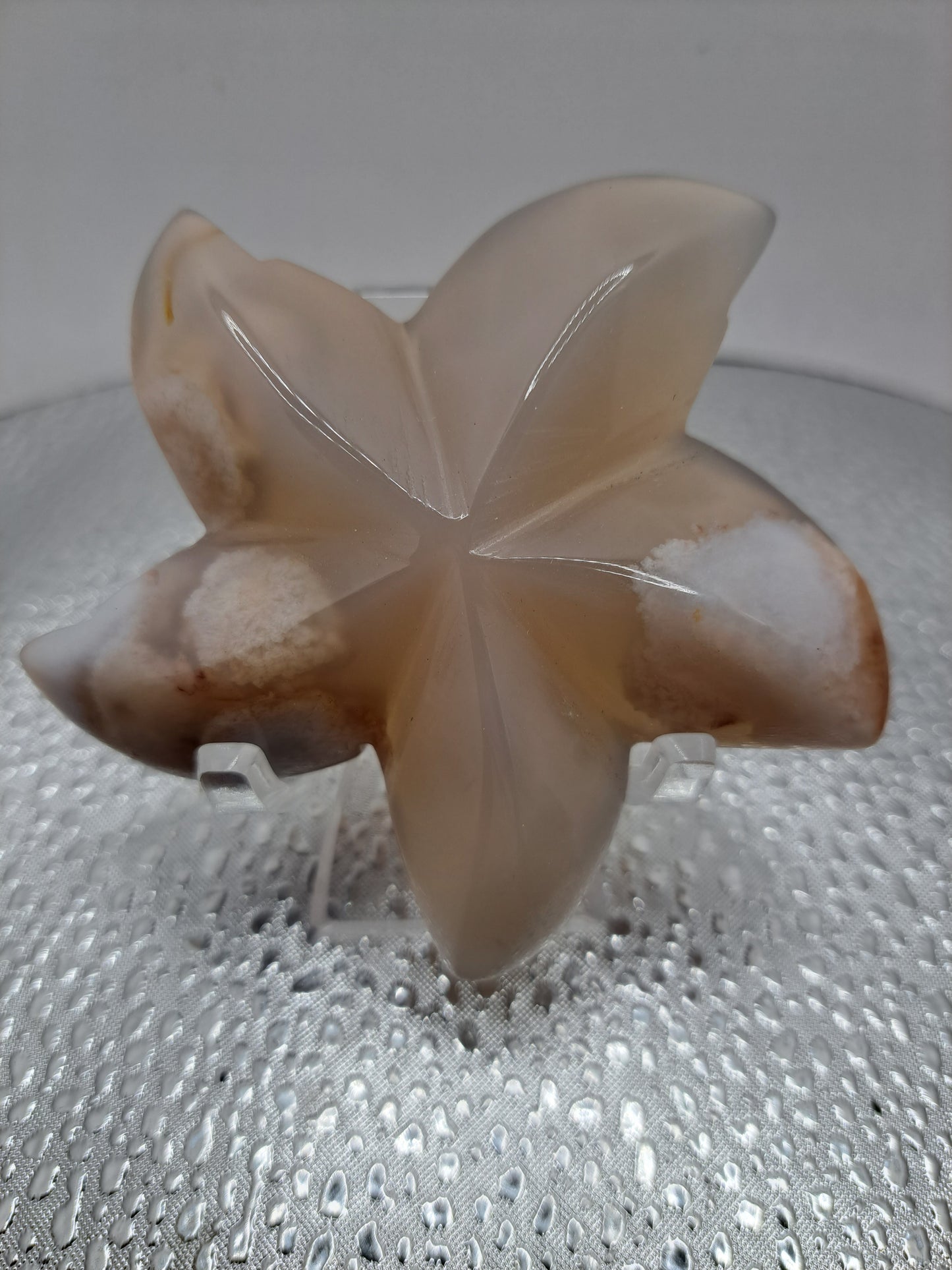 Flower Agate Starfish