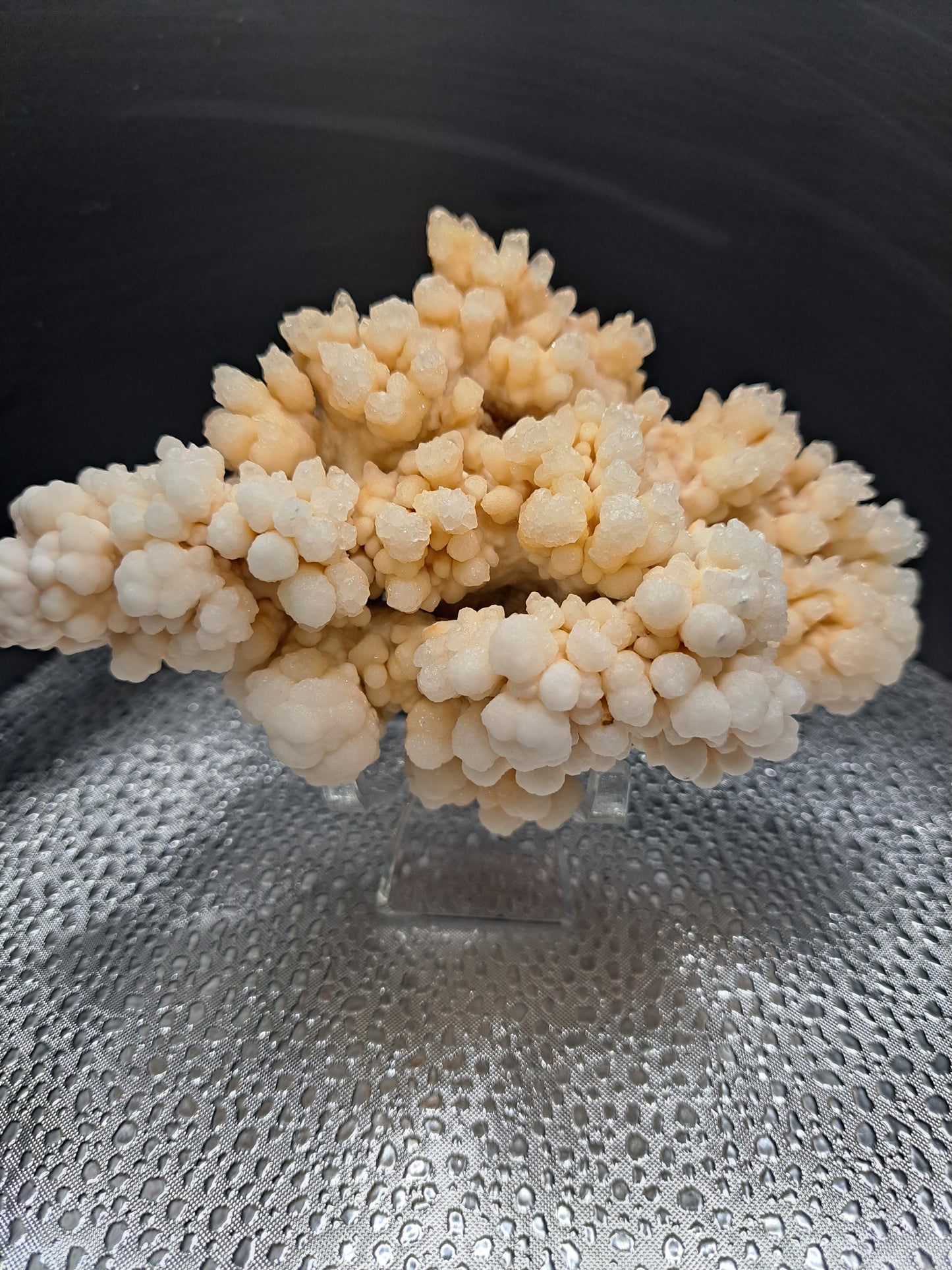 Coral Calcite