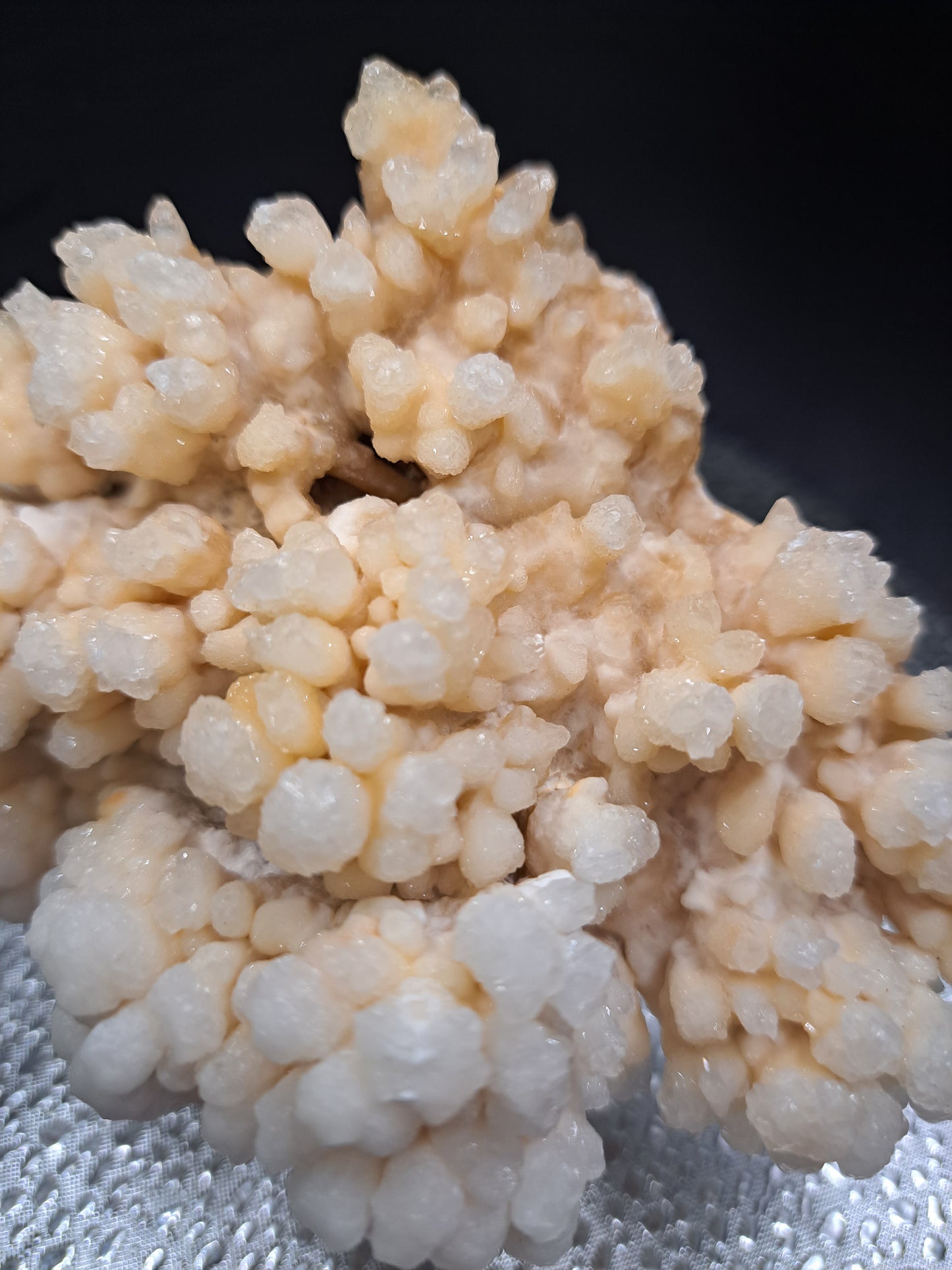 Coral Calcite