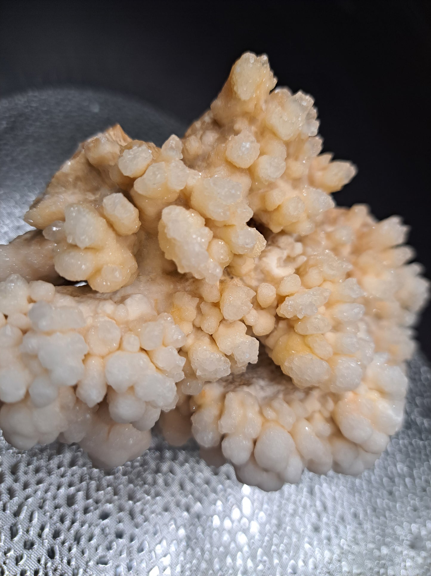 Coral Calcite