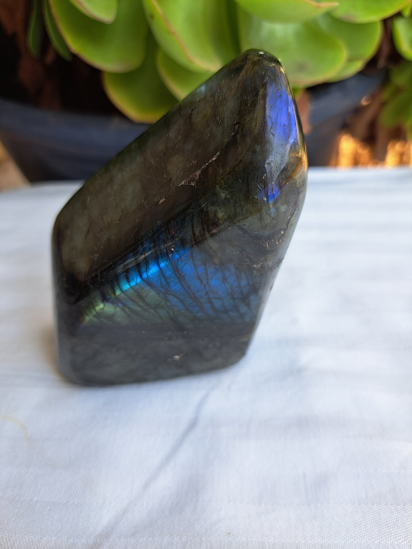 Labradorite Free Form