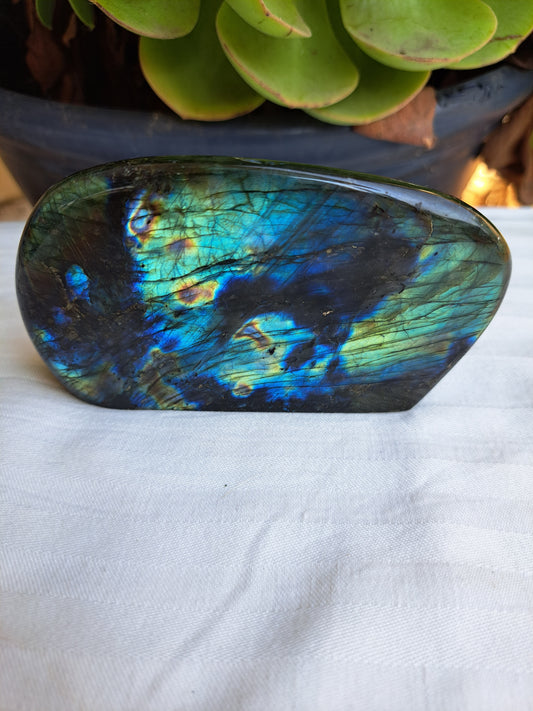 Labradorite Free Form