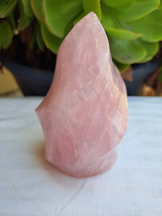 Rose Quartz Flame