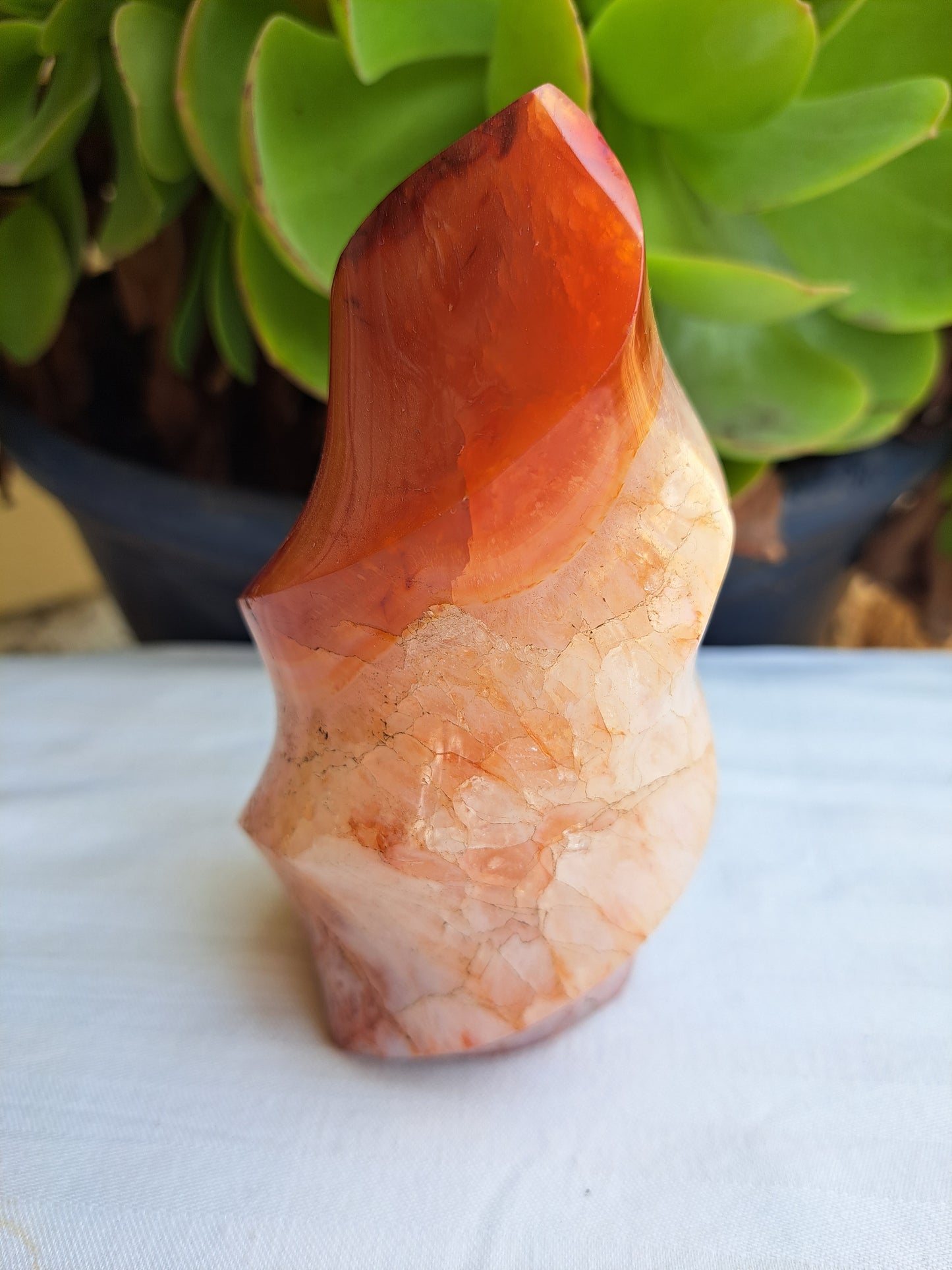 Carnelian Flame