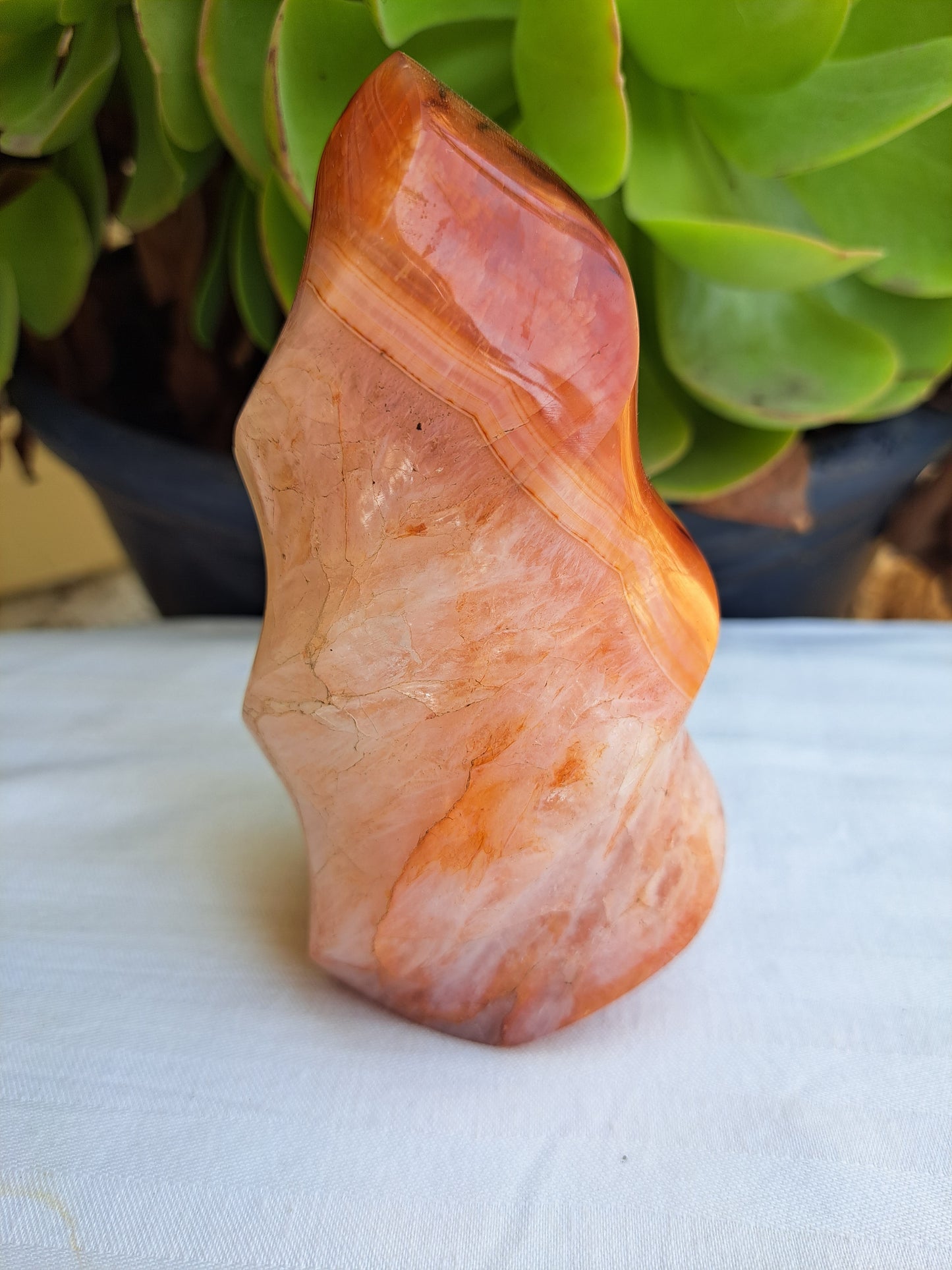 Carnelian Flame