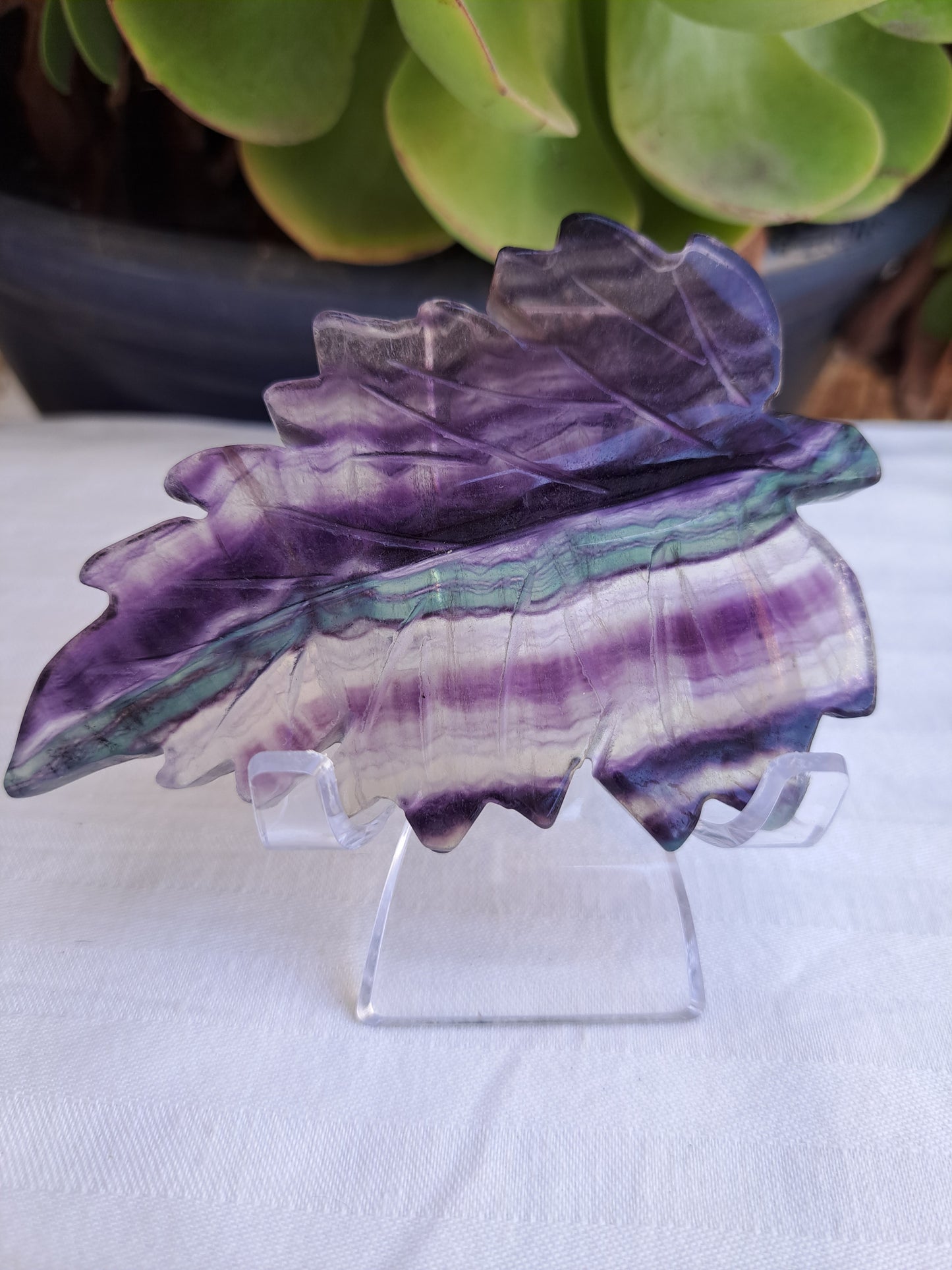 Rainbow Fluorite Leaves