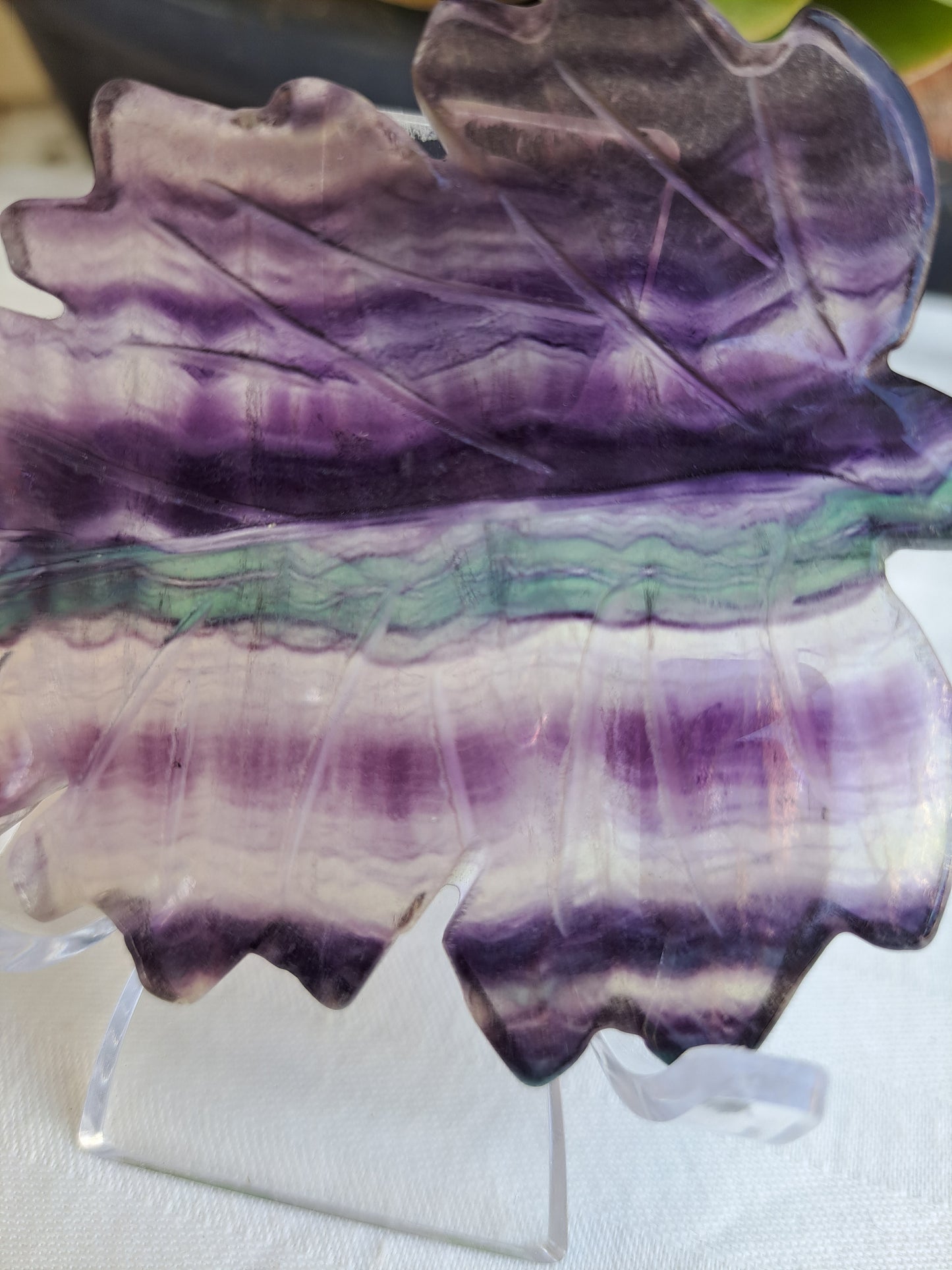 Rainbow Fluorite Leaves