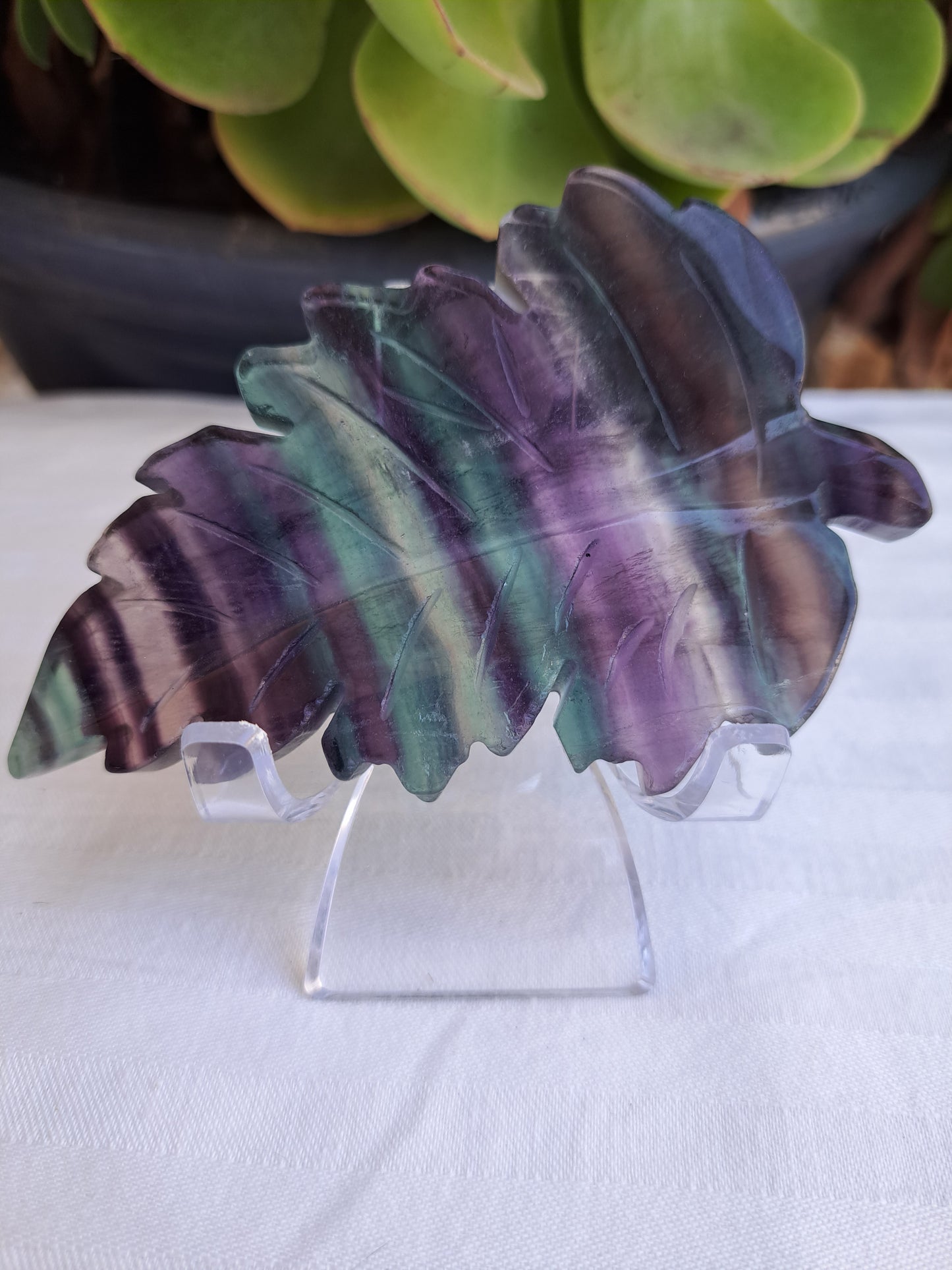 Rainbow Fluorite Leaves