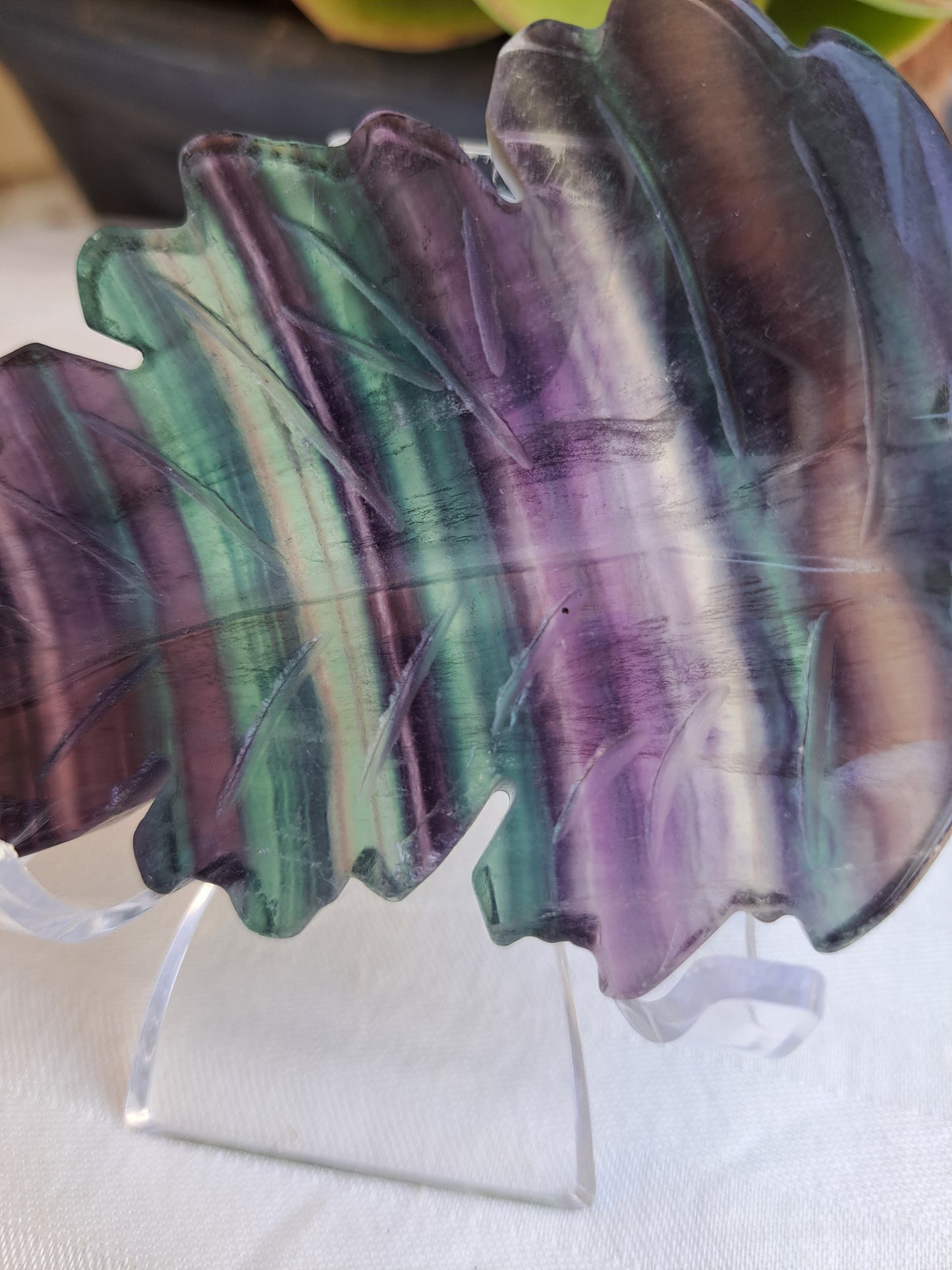 Rainbow Fluorite Leaves