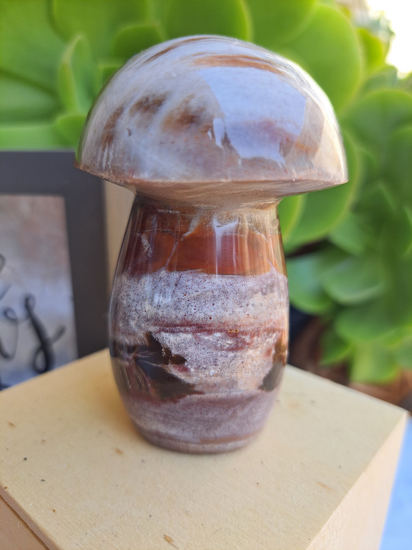 Petrified Wood Mushrooms