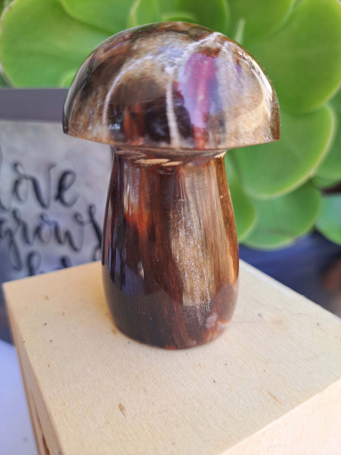 Petrified Wood Mushrooms