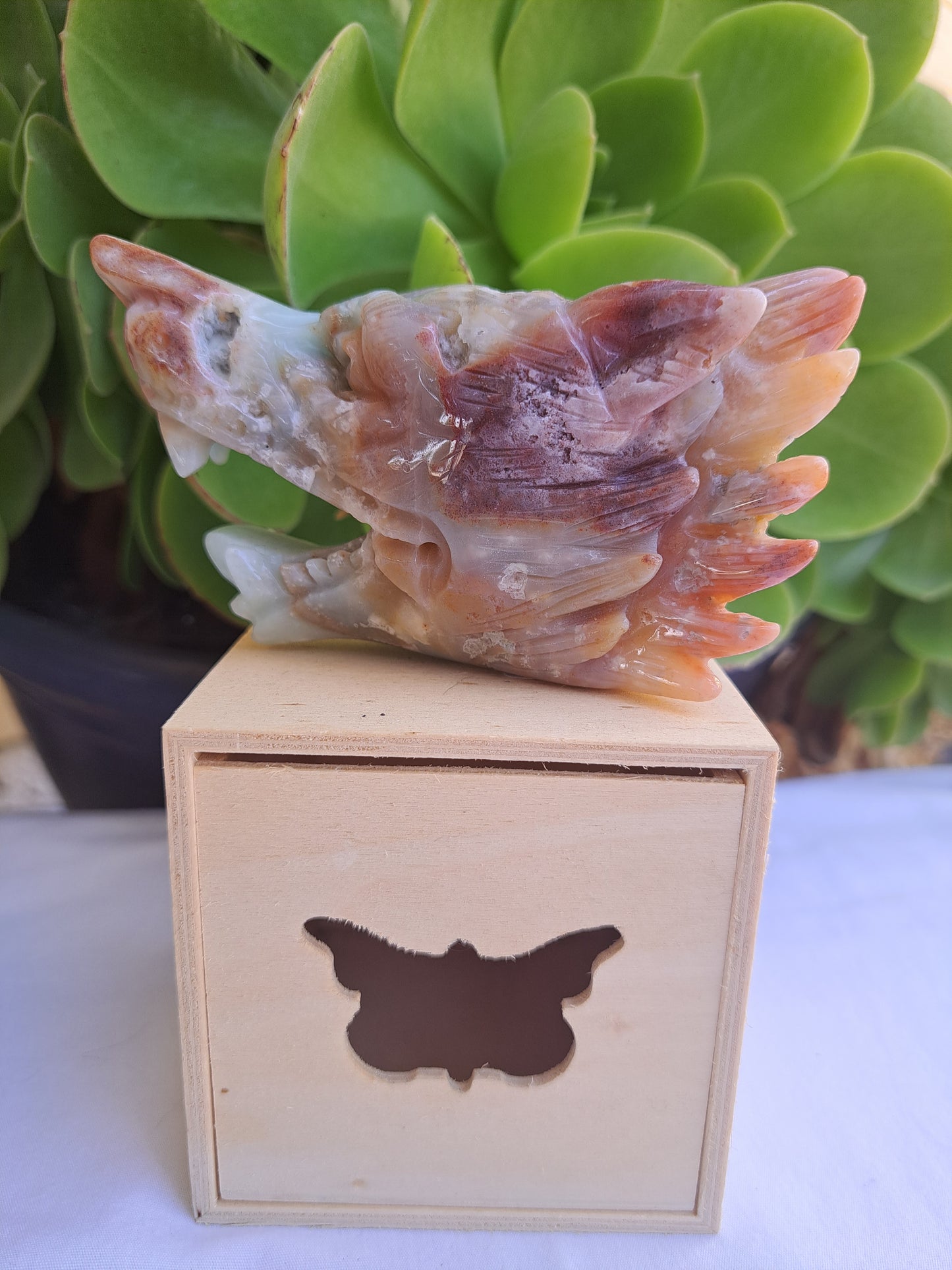 Caribbean Calcite Wolf Head