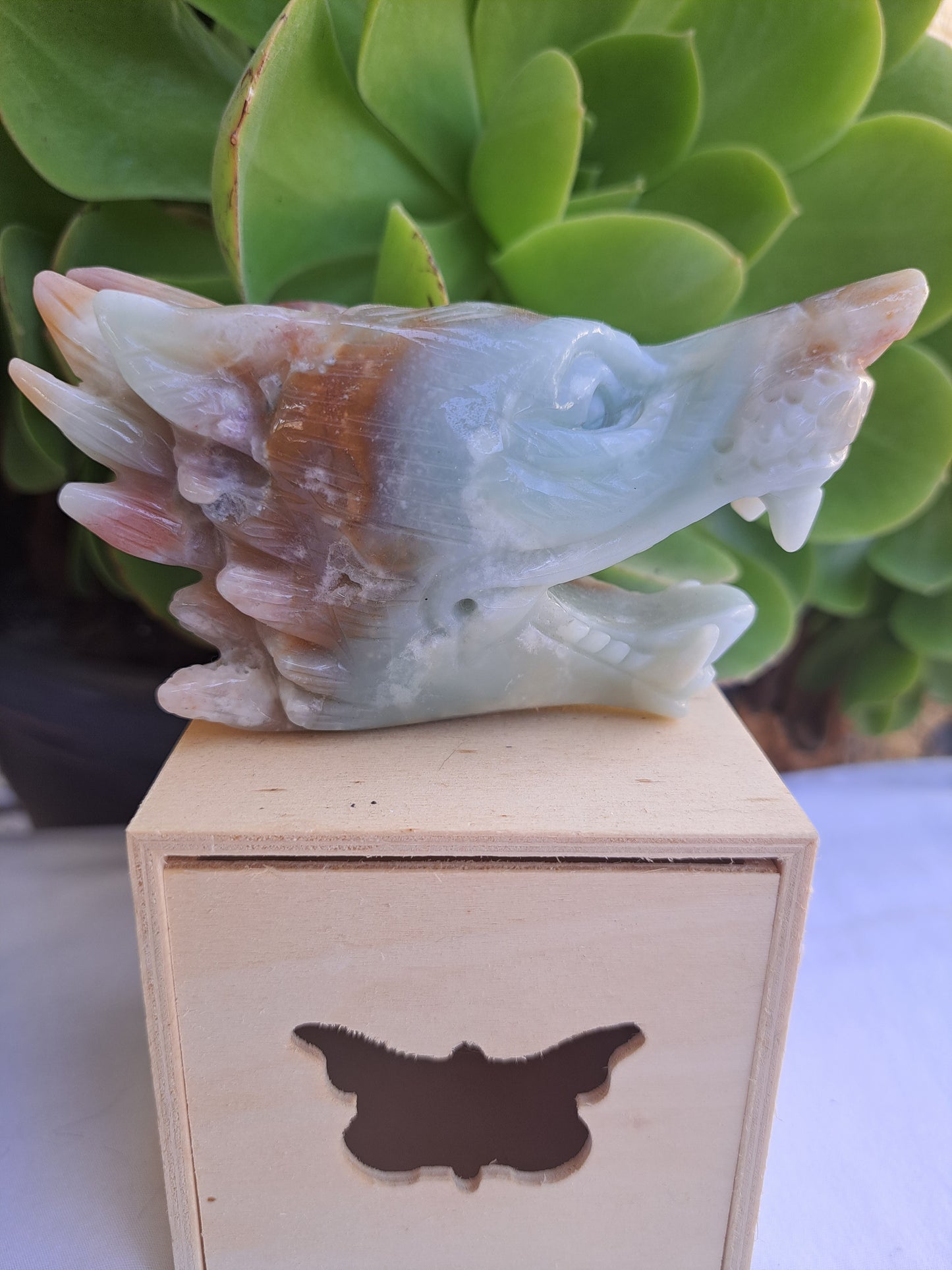 Caribbean Calcite Wolf Head