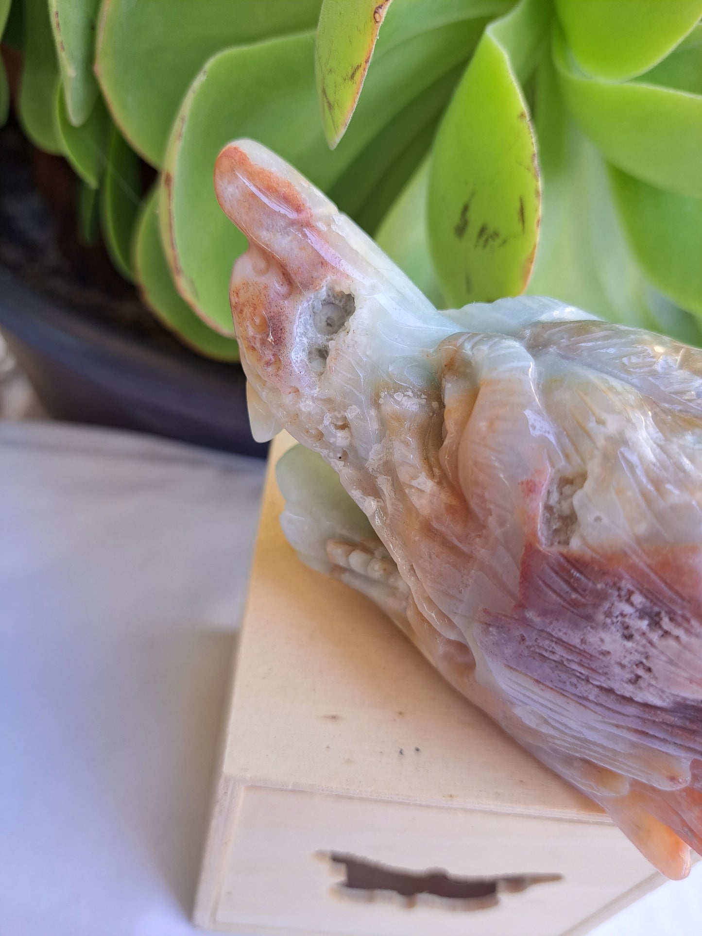 Caribbean Calcite Wolf Head