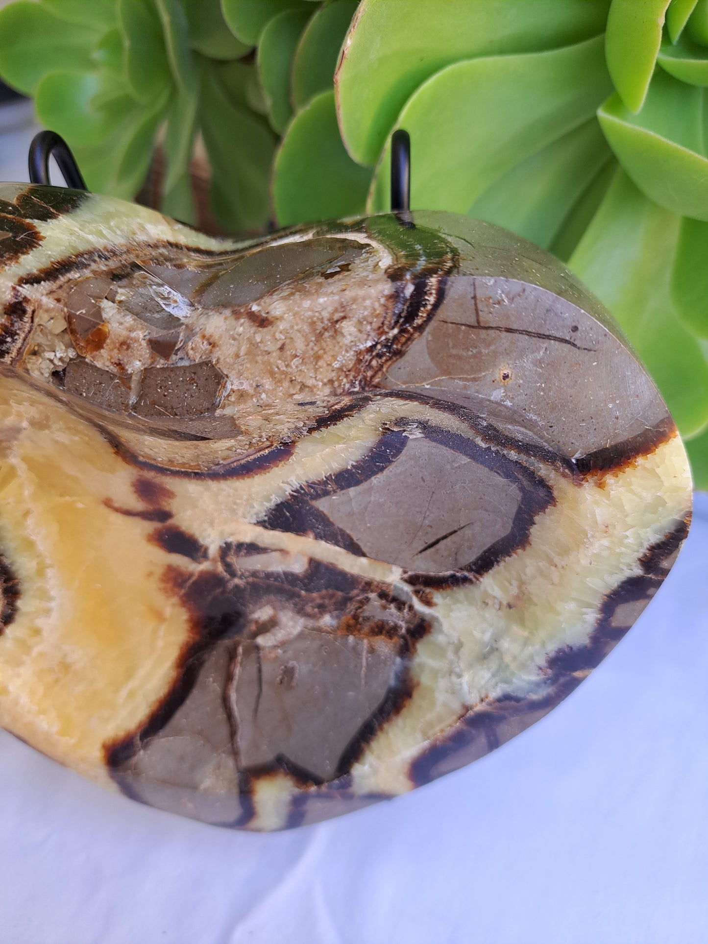 Septarian Heart Bowl