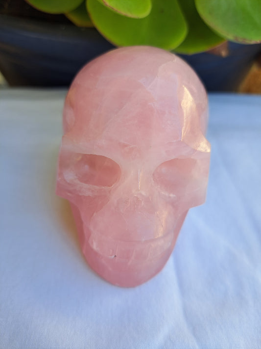 Rose Quartz Skull