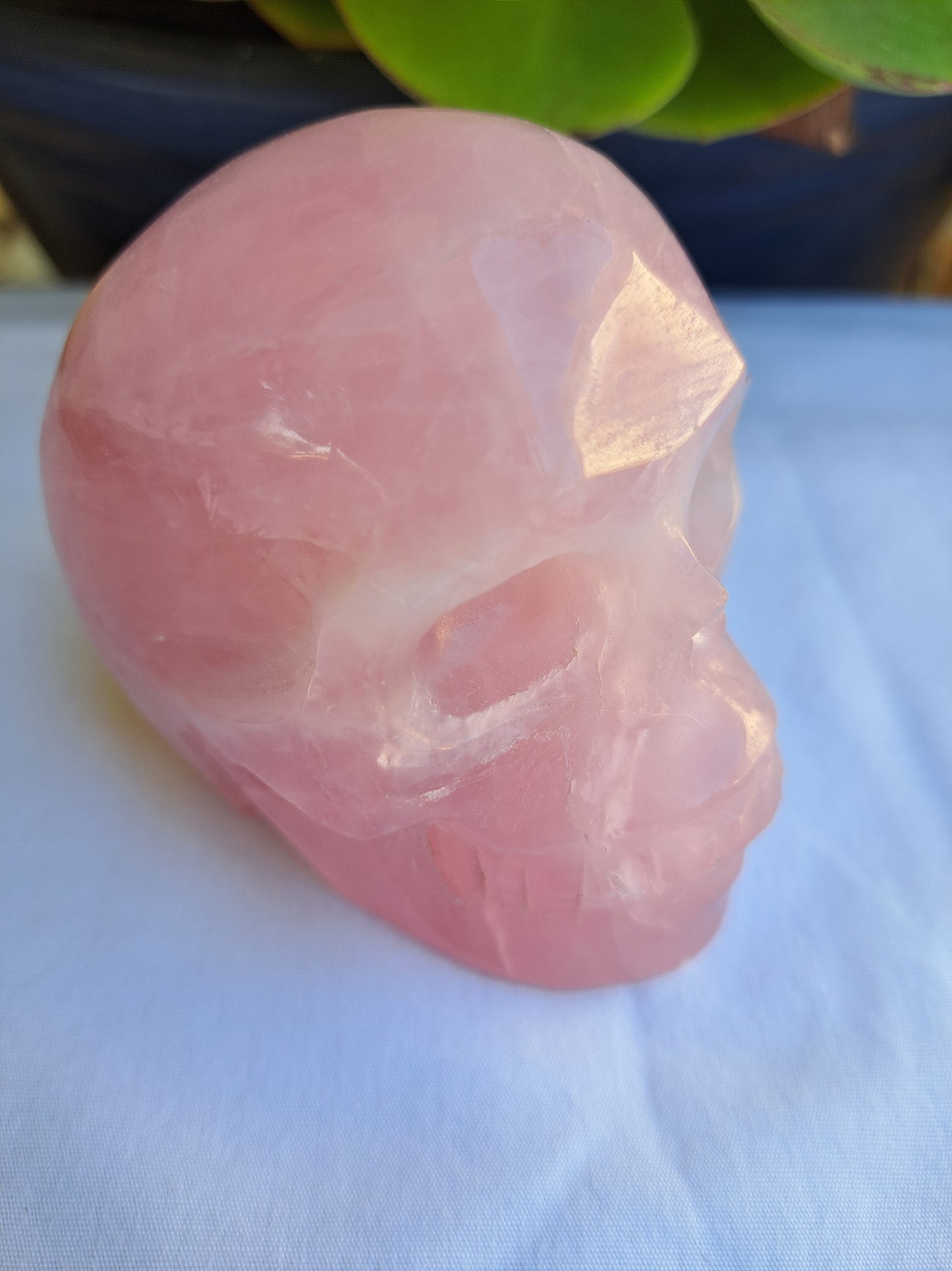 Rose Quartz Skull