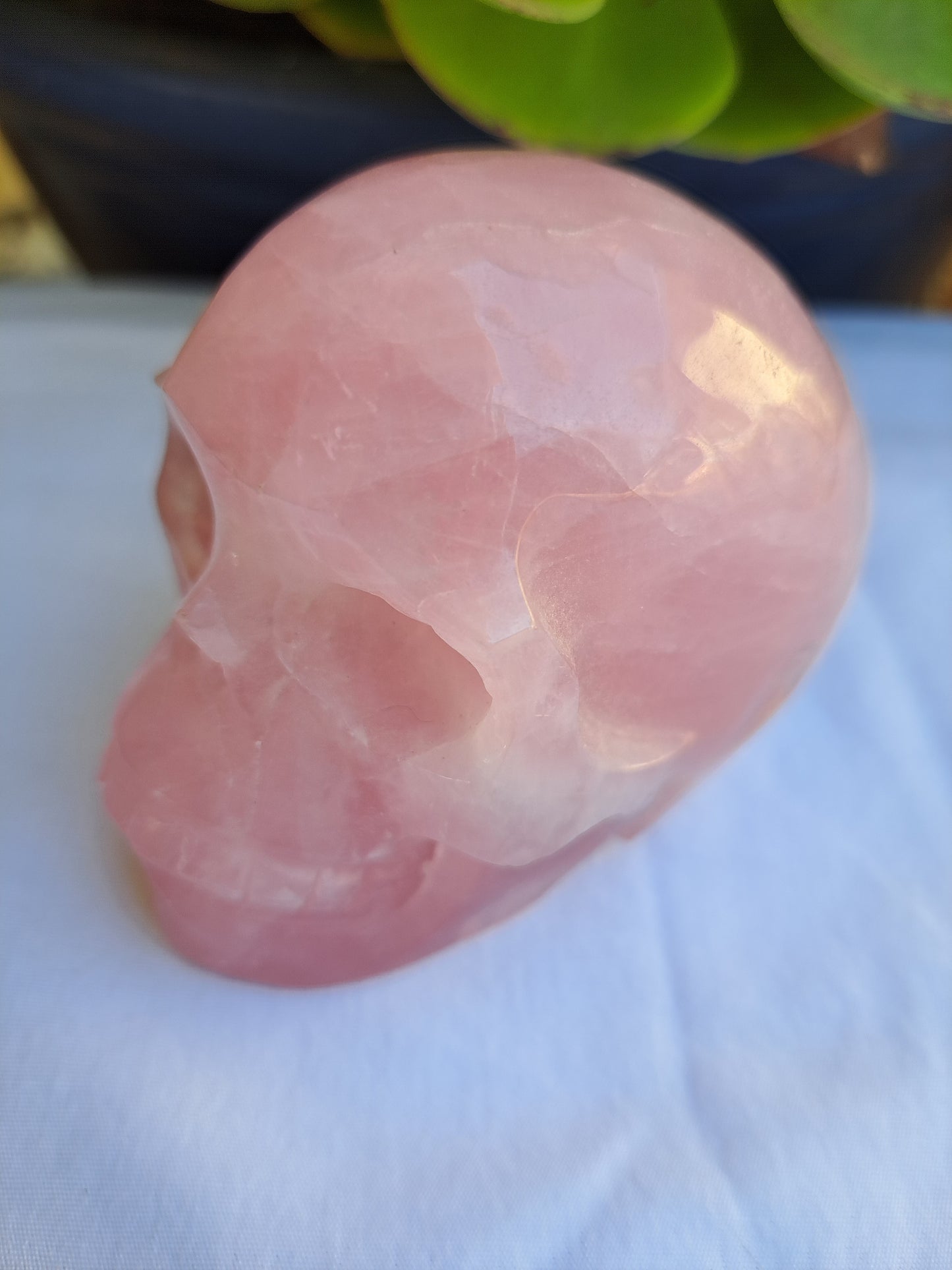 Rose Quartz Skull