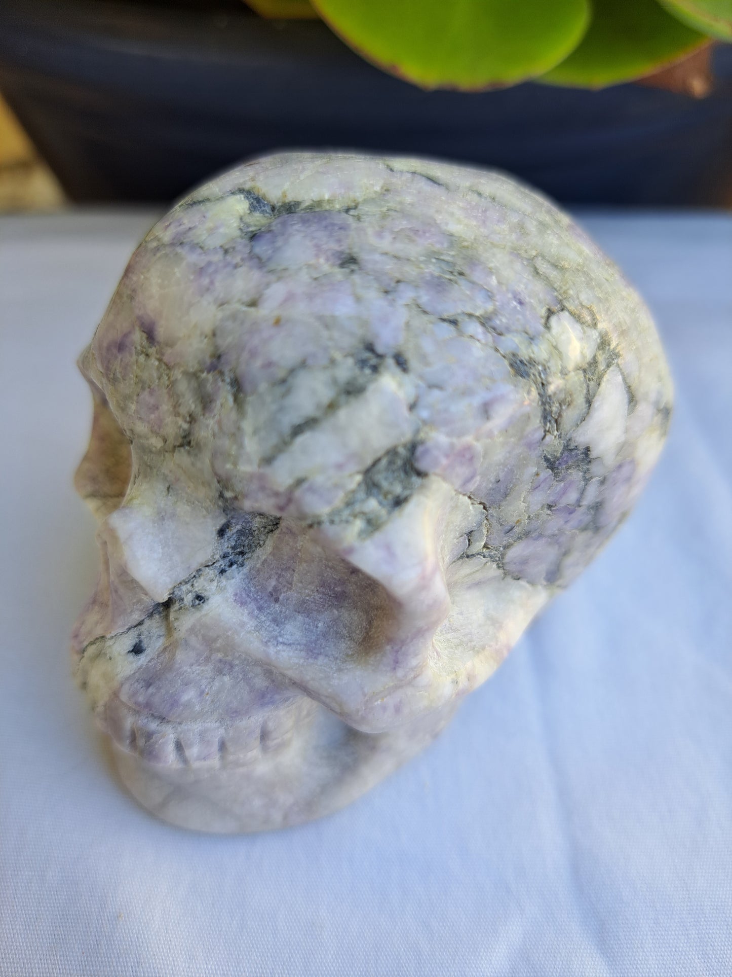 Spharlerite Skull