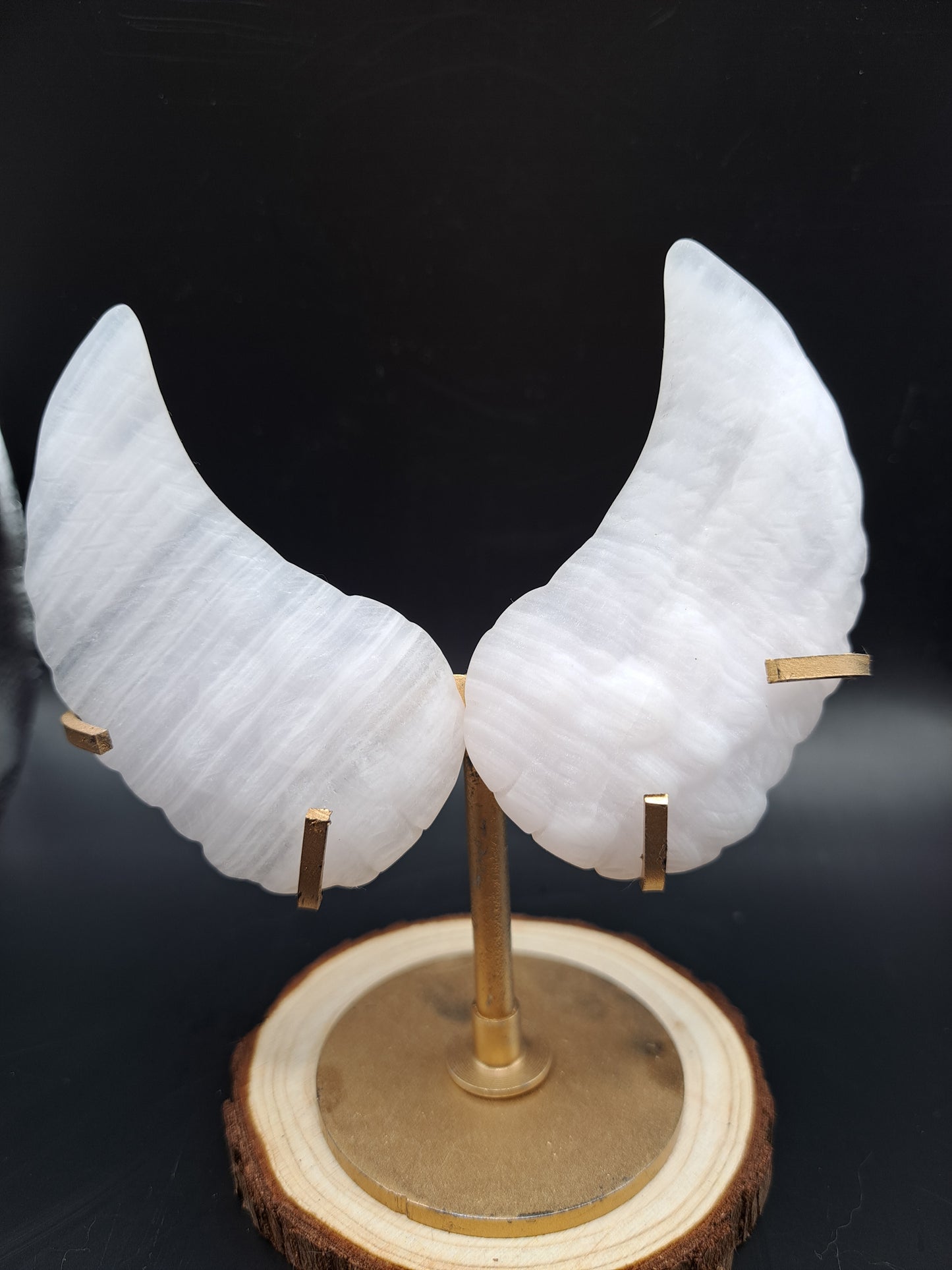 Mini Angel Wings