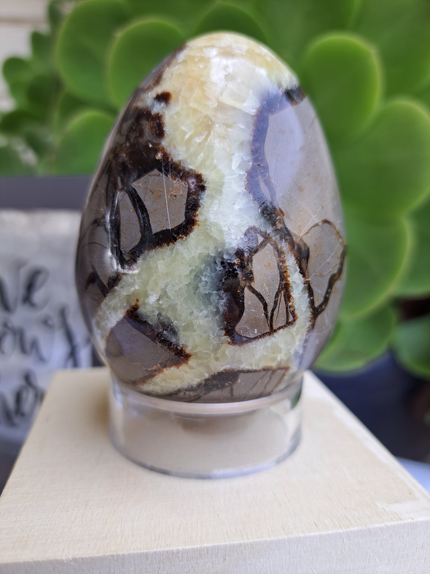 Septarian Heart and Eggs