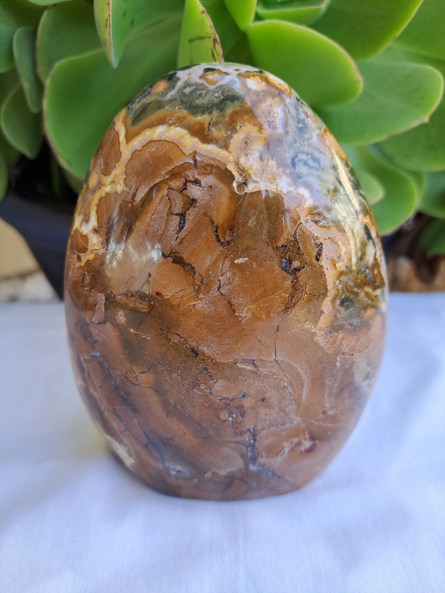 Ocean Jasper Free Form