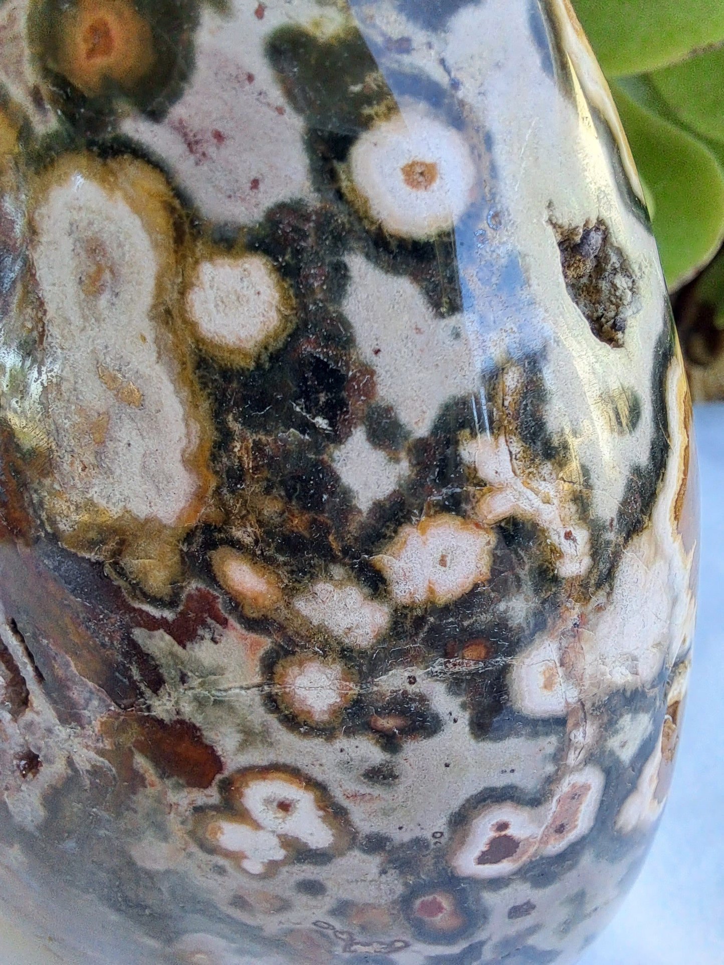 Ocean Jasper Free Form