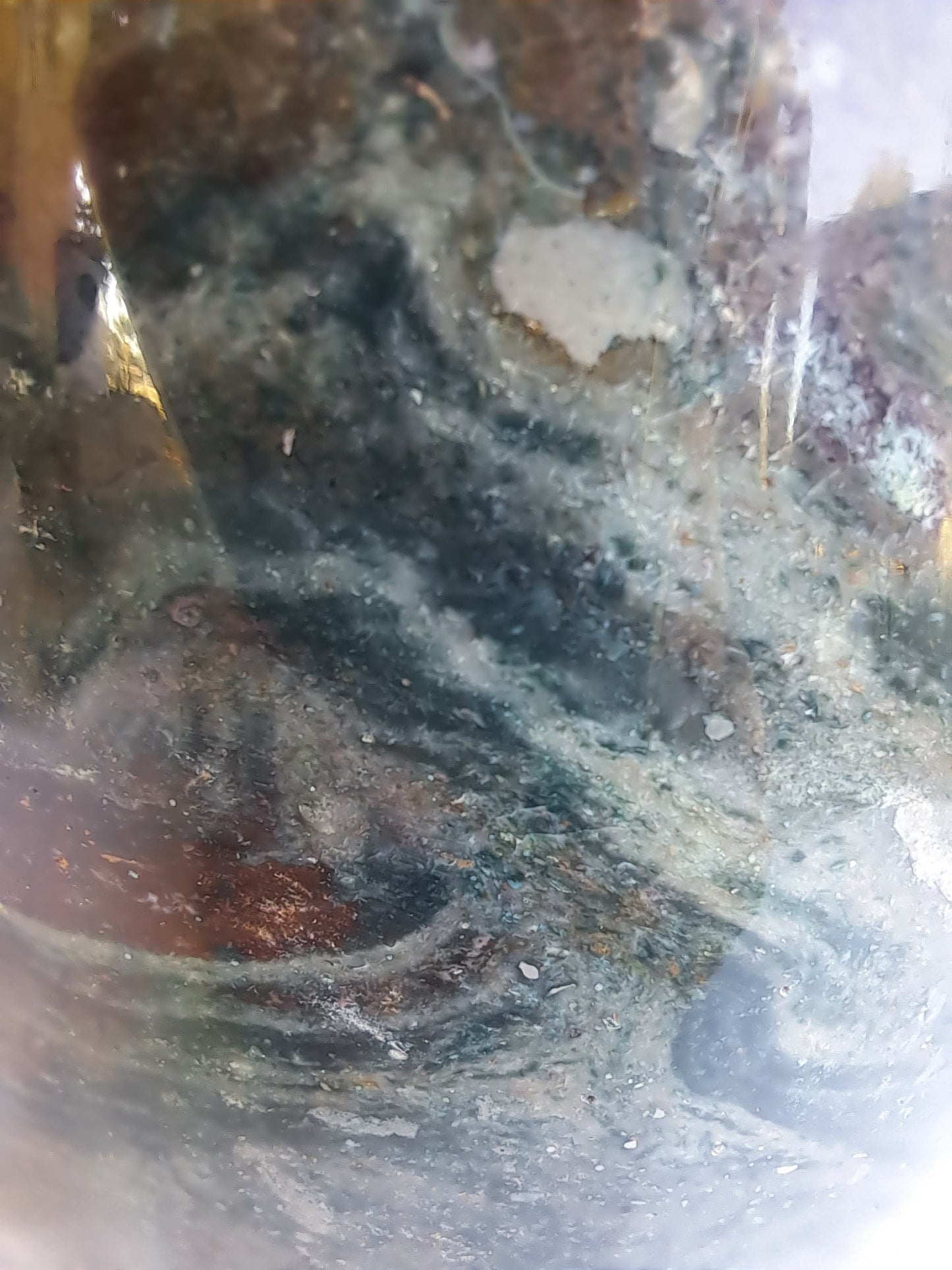 Ocean Jasper Free Form