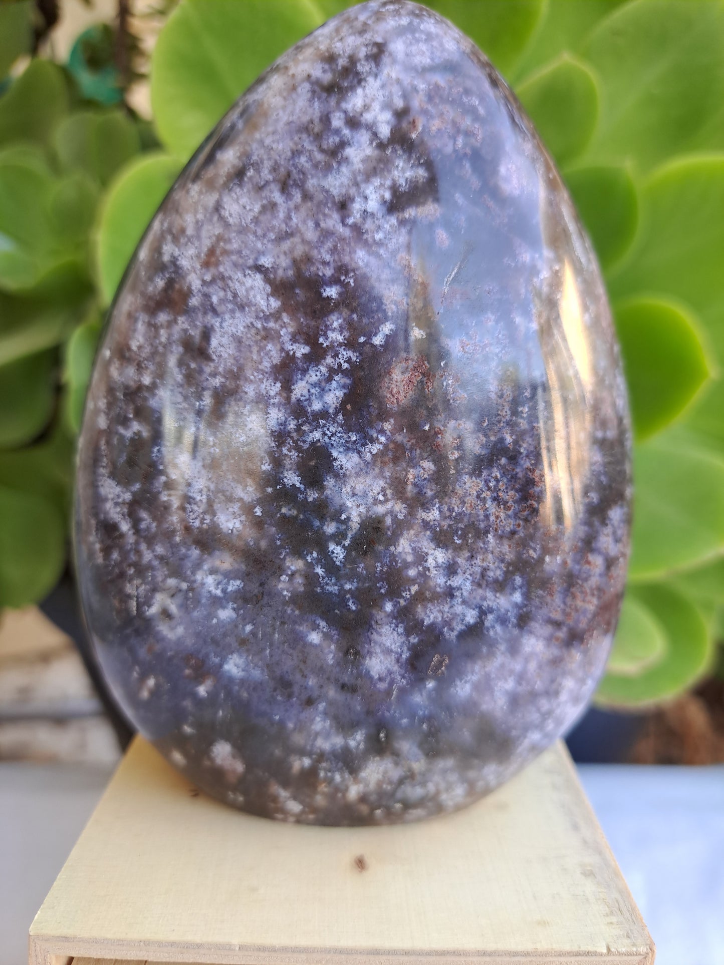 Ocean Jasper Free Form