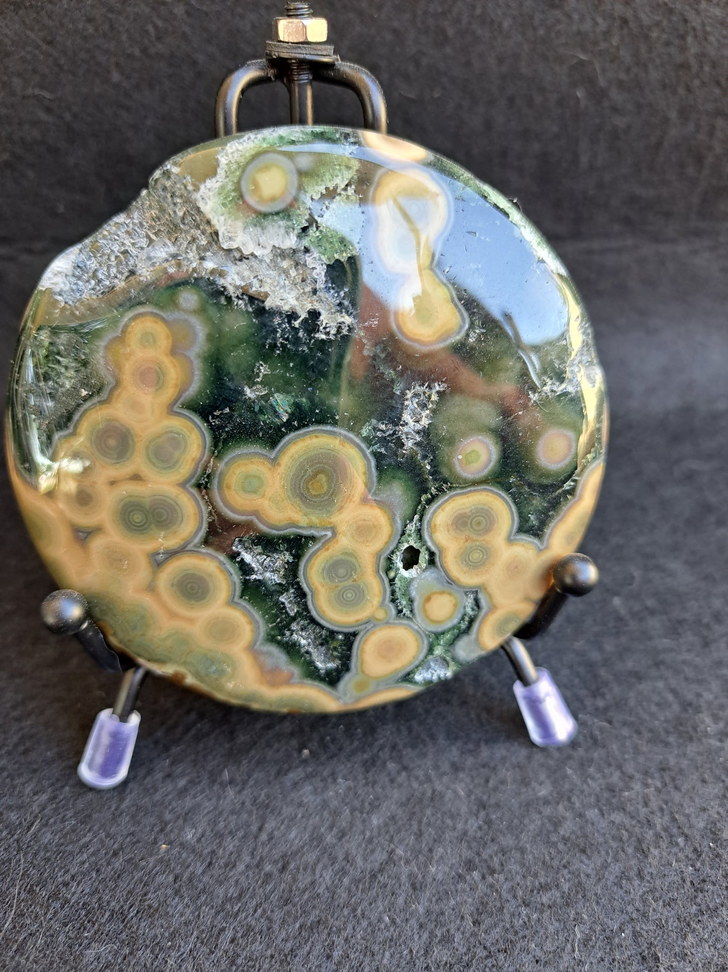 Orbicular Jasper Disk