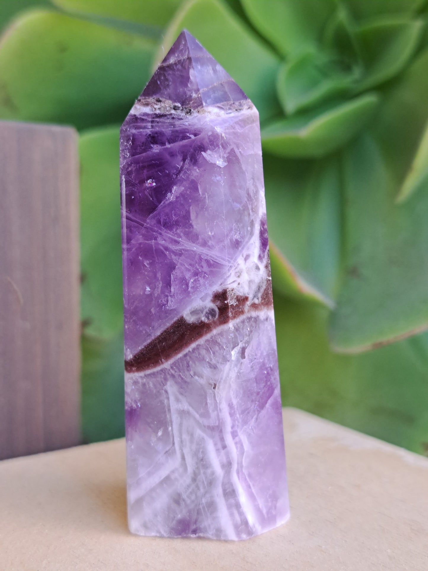 Dream Amethyst Towers